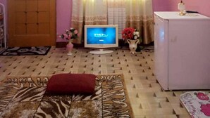 Habitació amb una porta de fusta, un televisor sobre un suport, un frigorífic i una catifa amb dibuixos.