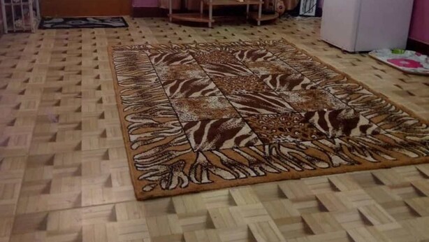Habitació amb un mosaic de moqueta, un televisor sobre un suport, un frigorífic i una porta amb reixeta metàl·lica.