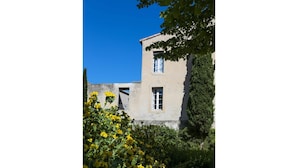 A building with a window and a door, surrounded by greenery and flowers.