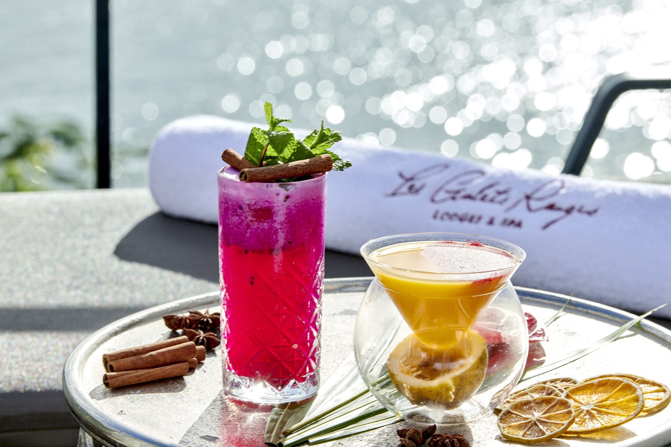 Two cocktails on a tray with dried citrus slices and cinnamon sticks.