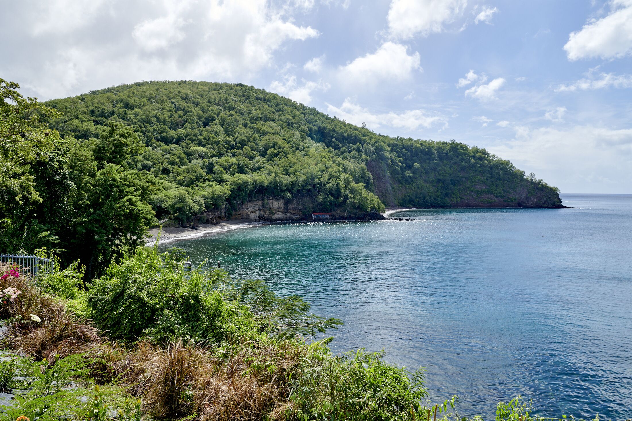 A coastal landscape with a forested hill and a beach.