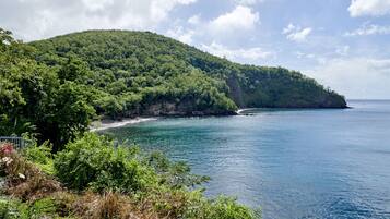 A coastal landscape with a forested hill and a beach.