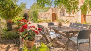 Une terrasse extérieure avec une table et des chaises en bois, entourée de plantes en pot et d’un mur de pierre.