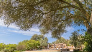 Un jardin luxuriant avec un grand arbre, un mur de pierre et un bâtiment en arrière-plan.