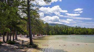 A lakeside campsite with picnic tables, a sandy beach, and a forested area.
