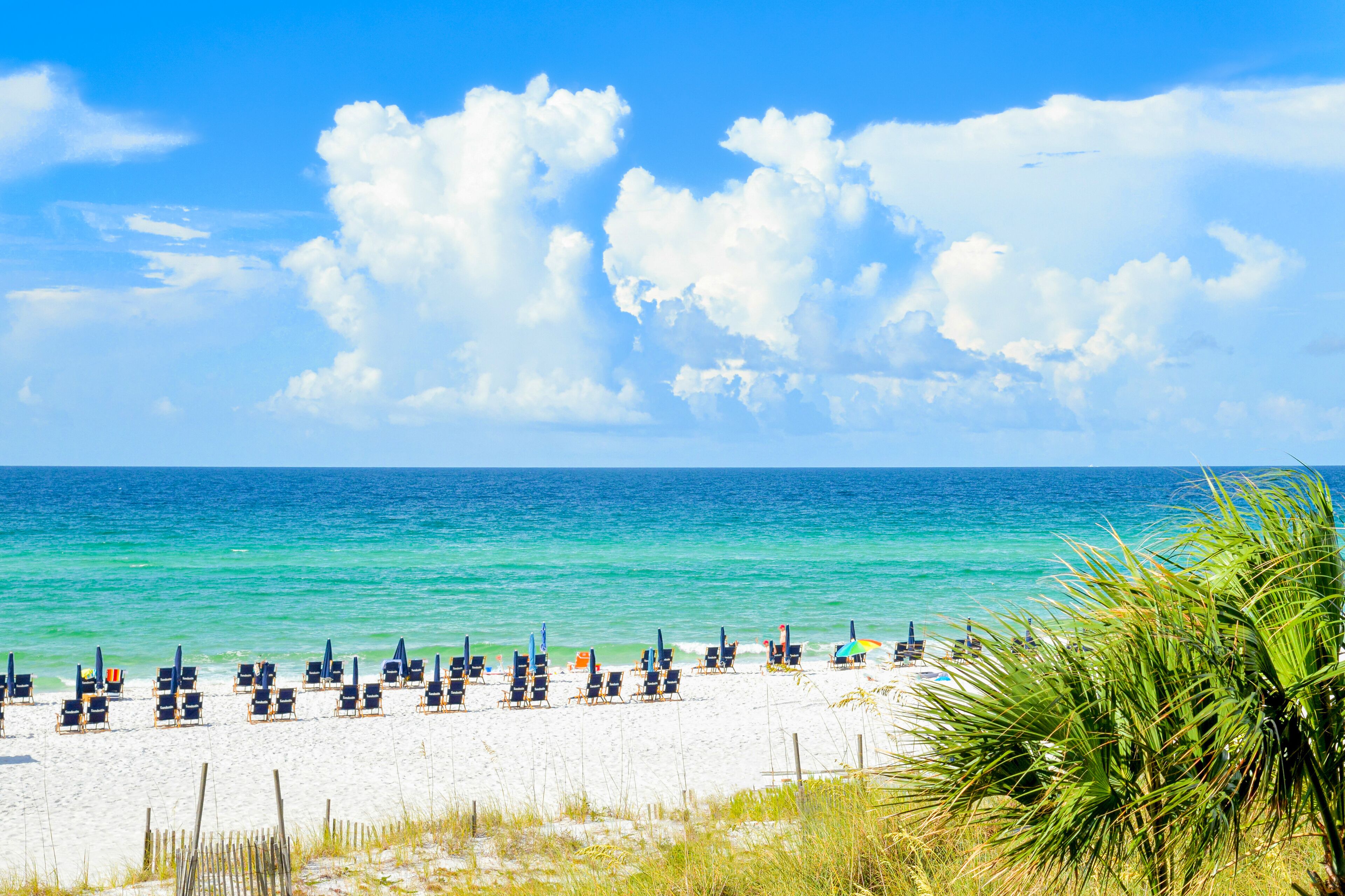 بالقرب من الشاطئ