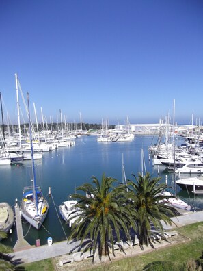 Un port esportiu amb nombroses embarcacions amarrades, palmeres al primer pla i un cel blau i clar.