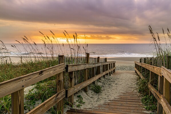 Walk along the beachside boardwalk, surrounded by tall grasses and sand.