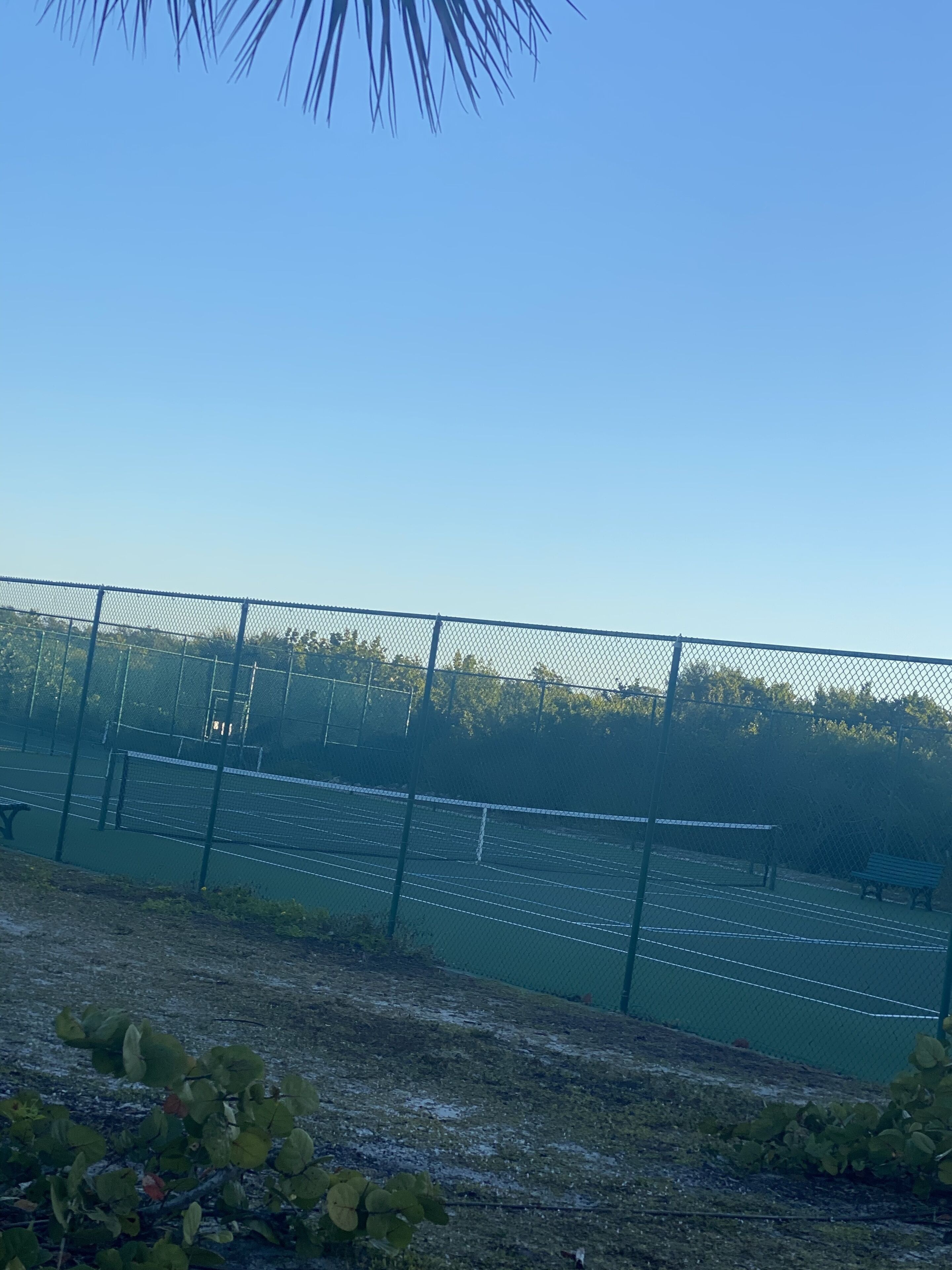 A tennis court with a chain-link fence, benches, and greenery.
