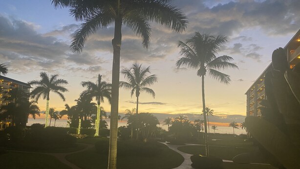 A resort with palm trees, a pathway, and a view of the ocean at sunset. - Beach Front Condo (Bonita Springs)