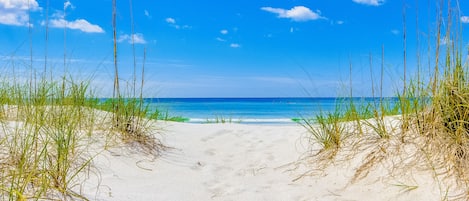 Playa en los alrededores