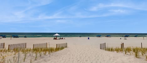 Playa en los alrededores
