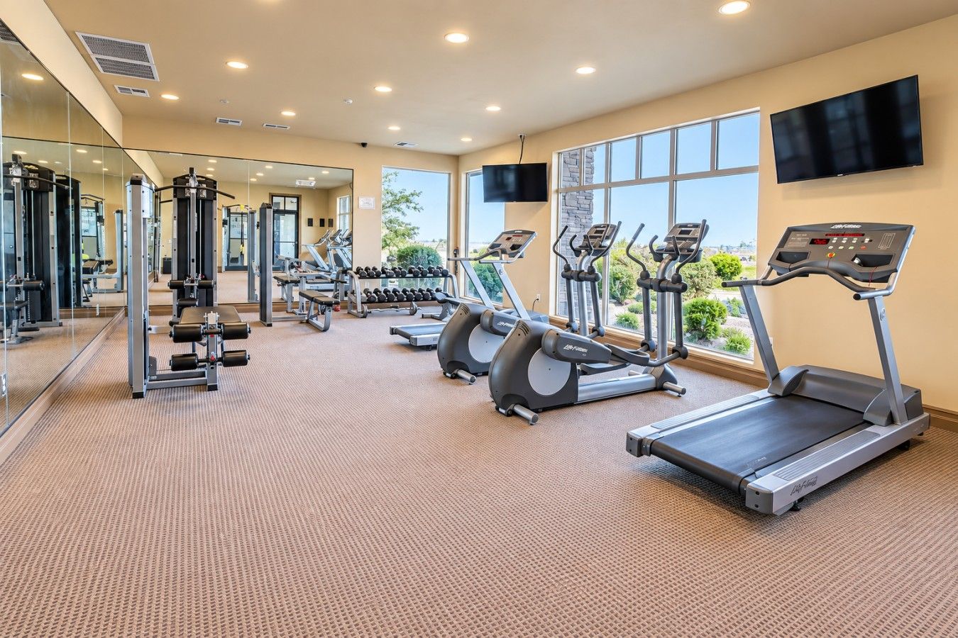 Un gimnasio con cintas de correr, máquinas de pesas y mancuernas.