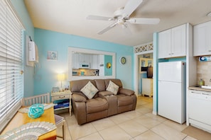 TV, DVD player, books, video library