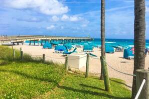 بالقرب من الشاطئ