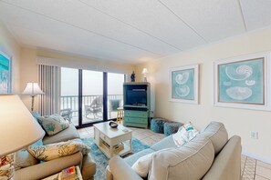 电视、DVD 播放器、影片库