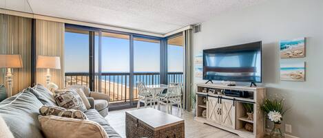 تلفزيون، مشغل دي في دي