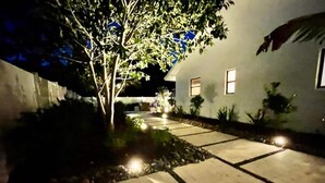 Vue nocturne d’une maison avec un chemin pavé menant à l’entrée, entourée de verdure et de petites plantes.