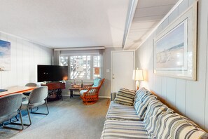 电视、DVD 播放器