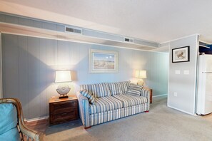 电视、DVD 播放器