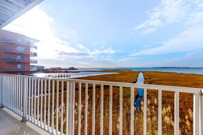 Property grounds - Roomy & convenient bayfront home with pool, central AC & balcony (Ocean City)