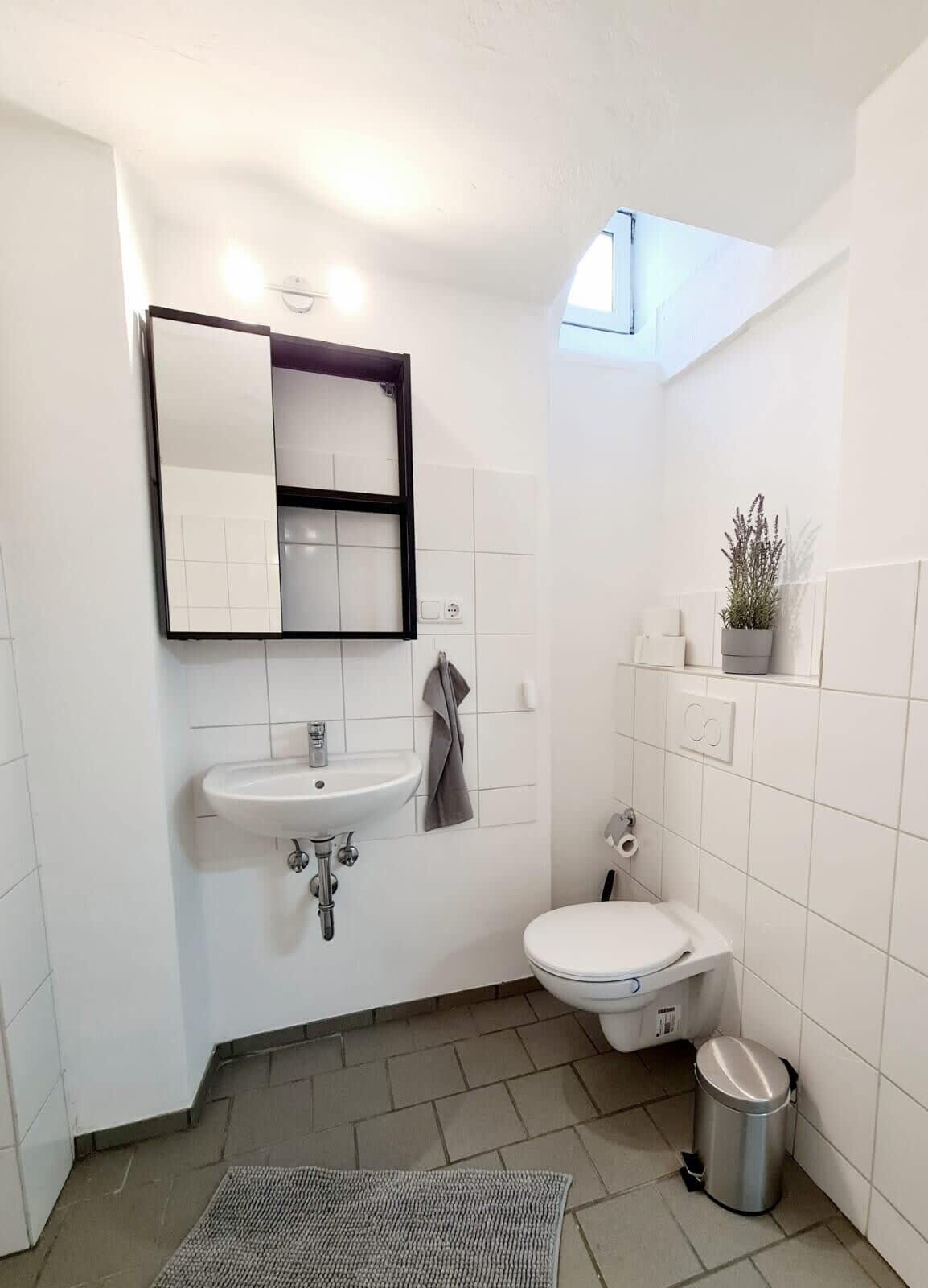 Ein Badezimmer mit einem weißen Waschbecken, einem Spiegel und einer Toilette, einer kleinen Mülltonne und einem Blumentopf.