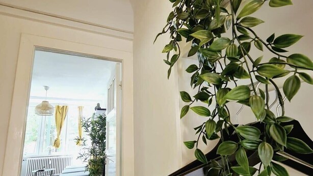 Ein Flur mit einem Blumentopf rechts und Blick in einen Raum mit Bett und Fenster.