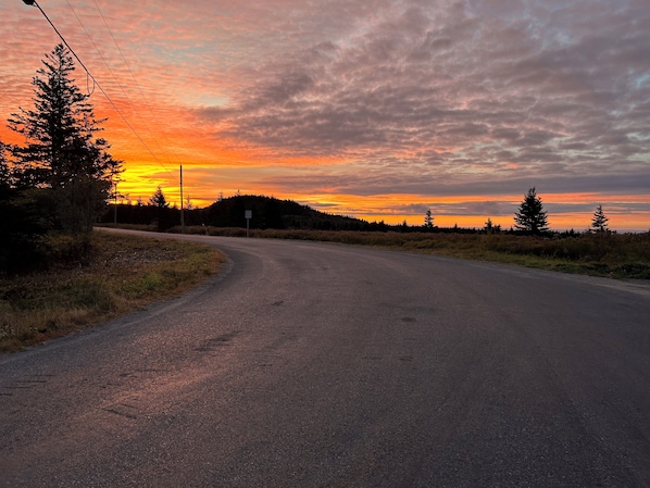 A rural road curving to the right with a speed limit sign of 50. - Quaco Cottages - The Shipbuilder's Summer Kitchen (West Quaco)