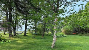 Un espace verdoyant avec des arbres et des hamacs.