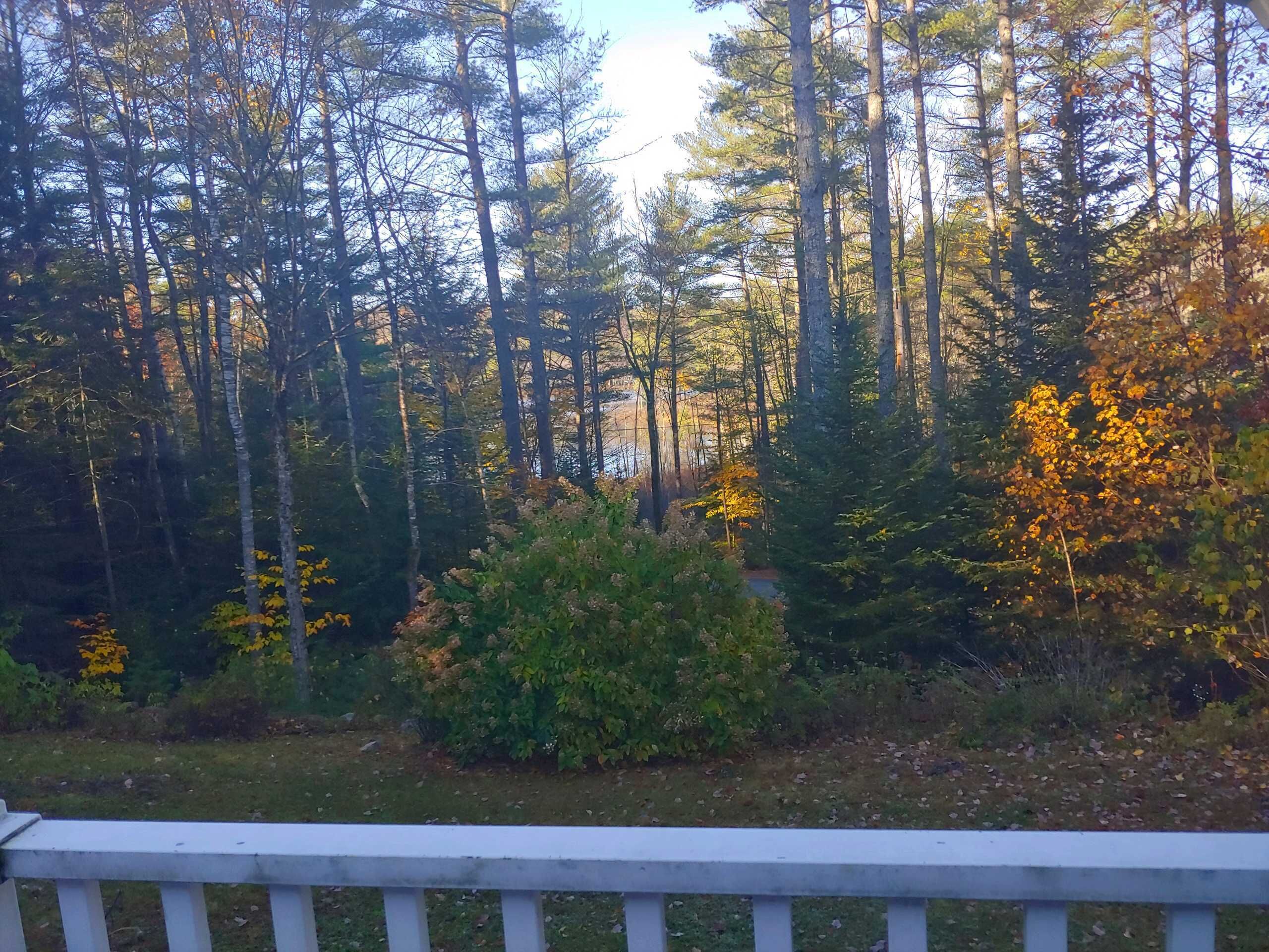 Views of the pond from back deck