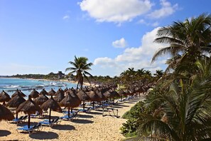 A beach with rows of thatched umbrellas and blue lounge chairs, palm trees, and a clear view of the ocean. - TAO Luxury Apartments (Akumal)