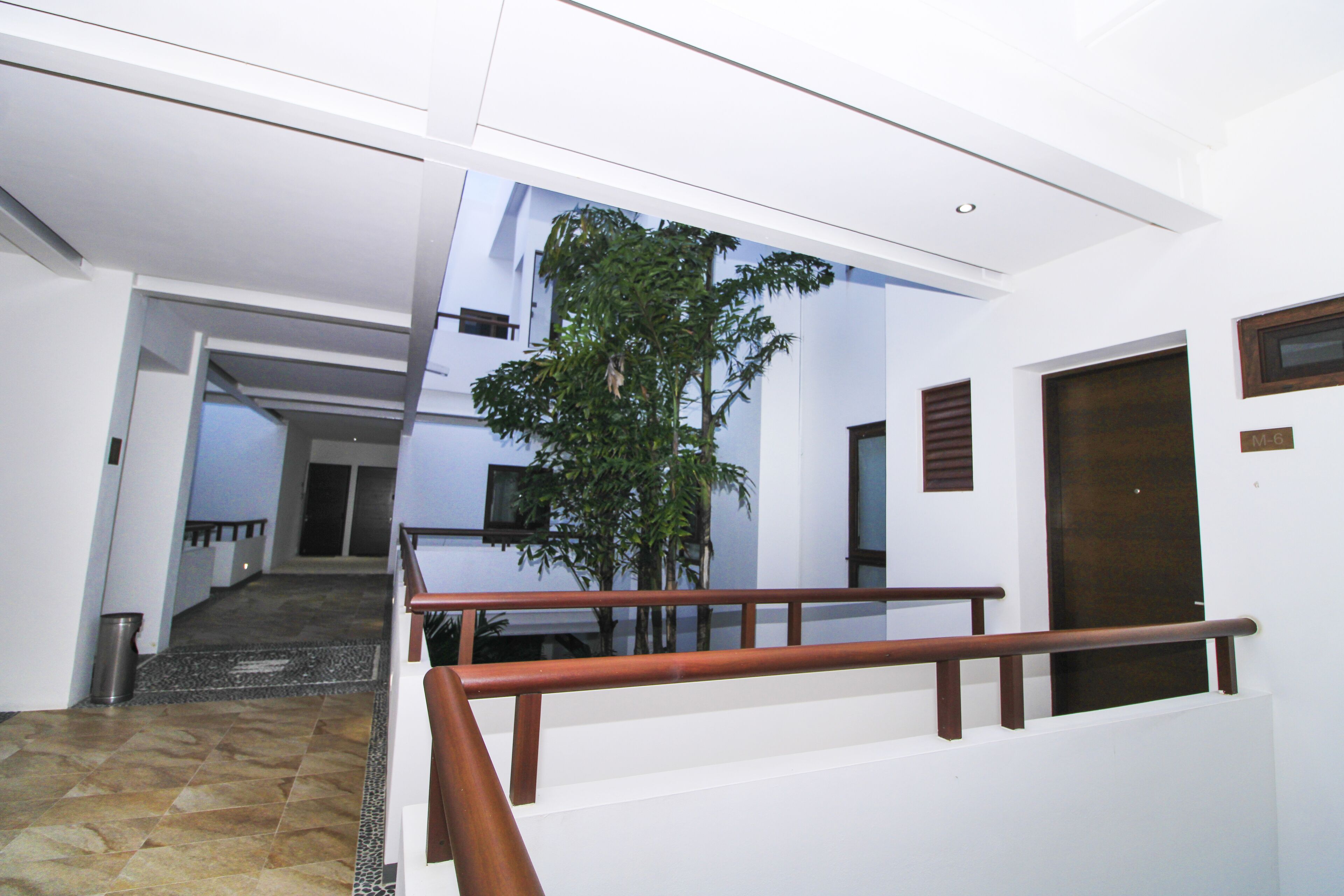 A modern interior with a staircase, a potted plant, and a door marked "M-6".