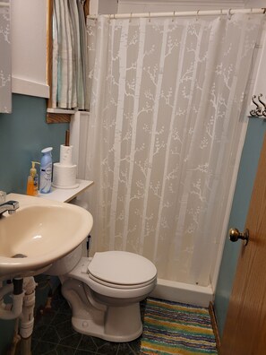 Shower, towels, soap, shampoo - Castaways Cottage on Croton Pond (#2) (Newaygo)