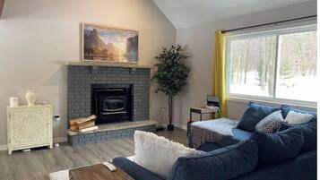 Smart TV, lareira, Netflix, livros