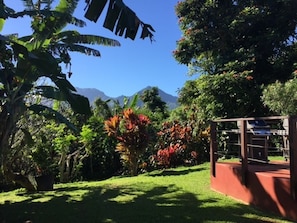 Un jardín exuberante con diversas plantas tropicales y una vista despejada de montañas al fondo.