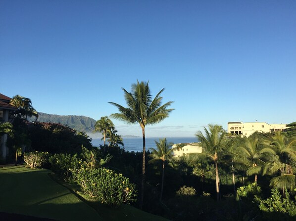 A tropical landscape with palm trees, a clear blue sky, and a view of the ocean.
