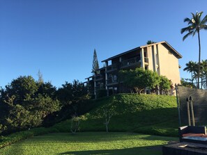 A multi-story building with balconies, surrounded by lush greenery and palm trees.