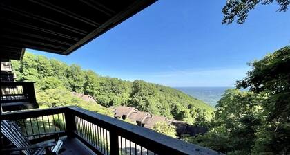 Wonderful view 2/2 villa. A block away from the Blue Ridge Parkway. 2 balconies!
