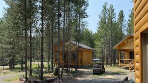 A rustic cabin with a porch, surrounded by tall pine trees. - Treetop Loft-28 miles to Yellowstone-Owner Operated (Island Park)