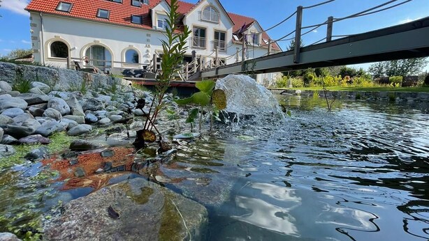 A house with a red roof, a bridge, and a pond with rocks and plants. - Luxurious country villa nestled in a horse farm on the mountain with great views (Uttenhofen)