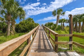 Stroll along the boardwalk surrounded by lush tropical greenery and palm trees.