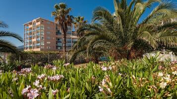 Terrein van de accommodatie