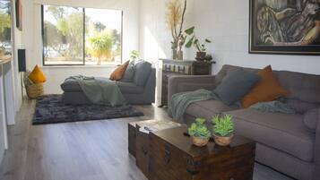 Una Smart TV, una chimenea, Netflix, libros