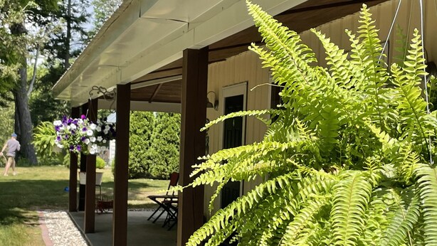 A covered patio area with a hanging fern plant, a concrete pathway, and a seating area with outdoor furniture. - Enjoy the beautiful views of the Muskegon River near The Hardy Dam/ Dragon Trail (Newaygo)