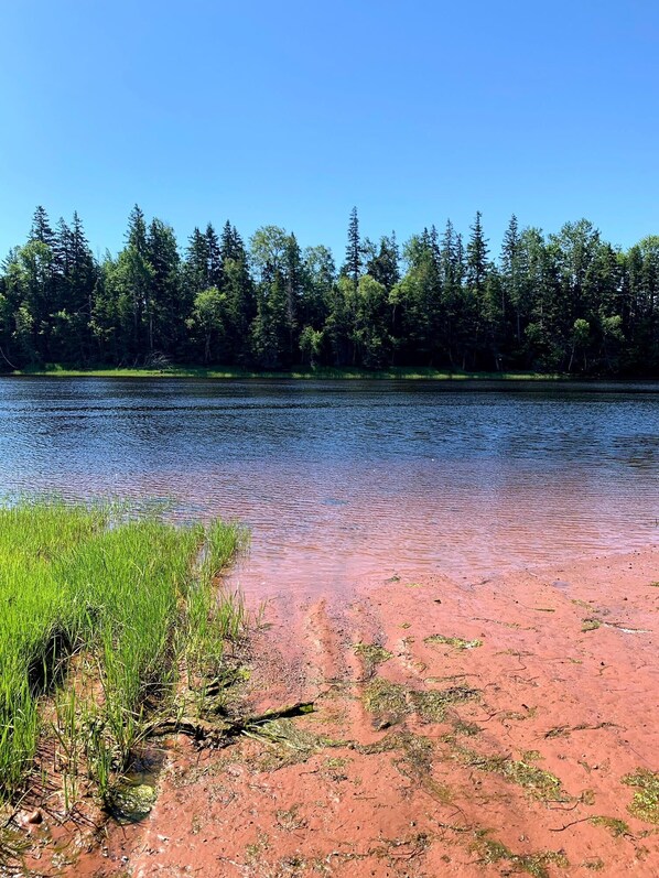 Un río de aguas cristalinas, rodeado de frondosos árboles verdes y una orilla arenosa rojiza.