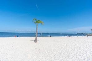 A beach with a palm tree, sandy shore, and a clear blue sky. - 3260 Little Harbor (Ruskin)