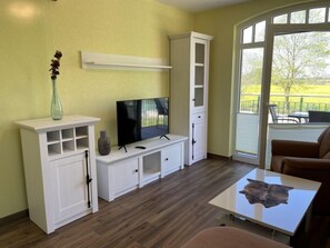 Flat-screen TV