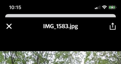 Cottage on 7 acres between West Jefferson and Boone. Pet Friendly HighSpeed Int