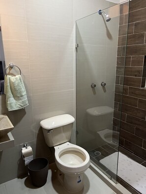 Shower, towels, soap, shampoo
