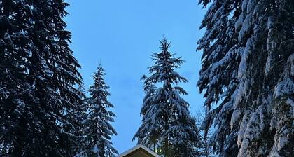 5 miles to Mt. Rainier Nisqually entrance